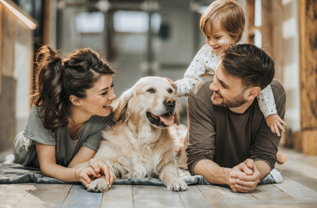 Supreme Dream Down Payment Assistance Options