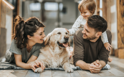 Supreme Dream Down Payment Assistance Options